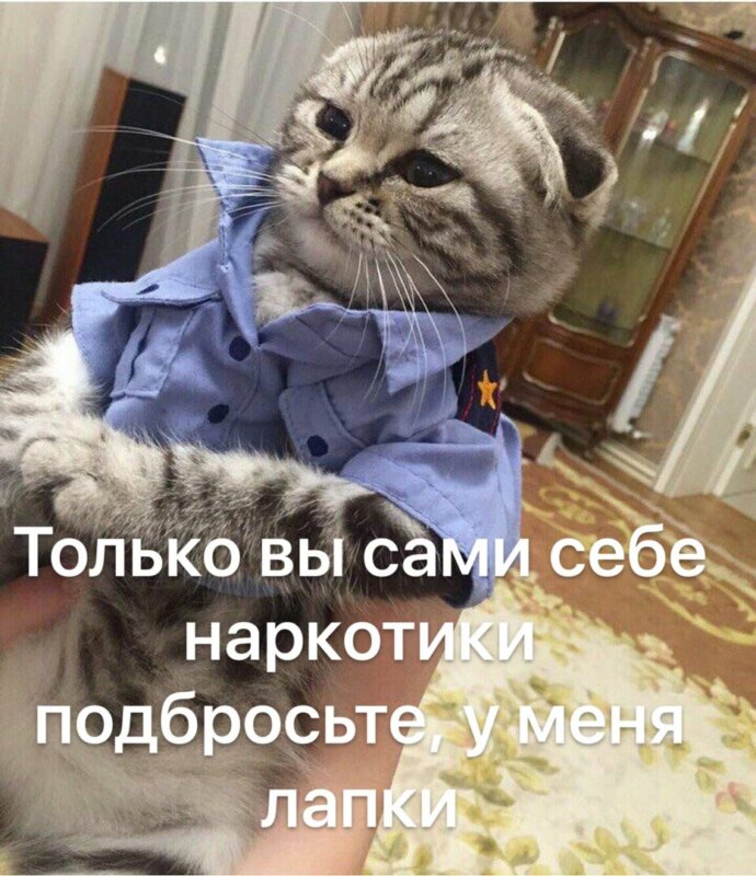 реклама эльдорадо у меня лапки, реклама эльдорадо кот у меня лапки, реклама у меня лапки, у меня лапки видео, у нас лапки, не будет делать у нас лапки, сделай сам у меня лапки, покатай у меня лапки, не могу ничего делать у меня лапки, Не могу у меня лапки, не могу лапки, лапки, мем про лапки, лапки котика, что за мем с лапками котика, что за мем про лапки, откуда взялось не могу у меня лапки, шутки про лапки, что значит не могу у меня лапки, картинки про лапки, шутки про лапки, фраза у меня лапки происхождение, происхождение мема у меня лапки, что значит у меня лапки, почему пишут у меня лапки, почему говорят у меня лапки, почему говорят не могу сделать у меня лапки