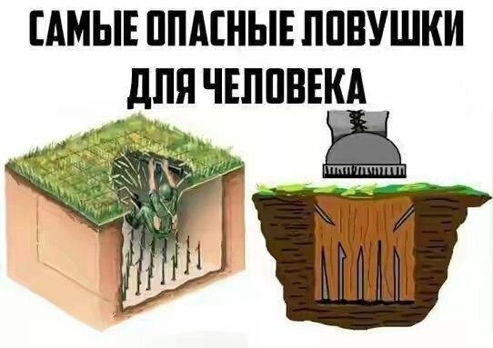 Самые опасные ловушки мем, мем Самые опасные ловушки, Самые опасные ловушки, Самые опасные ловушки для человека мем, мем Самые опасные ловушки для человека, Самые опасные ловушки для человека, The most dangerous traps,