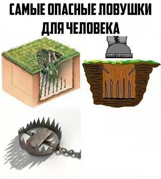 Самые опасные ловушки мем, мем Самые опасные ловушки, Самые опасные ловушки, Самые опасные ловушки для человека мем, мем Самые опасные ловушки для человека, Самые опасные ловушки для человека, The most dangerous traps,