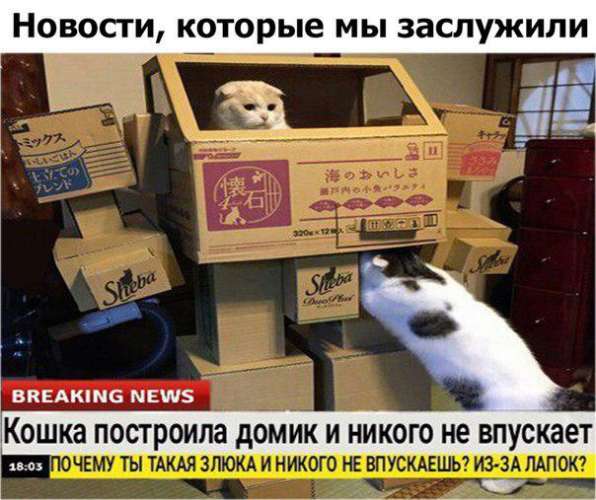 срочные новости с животными шаблон (1)