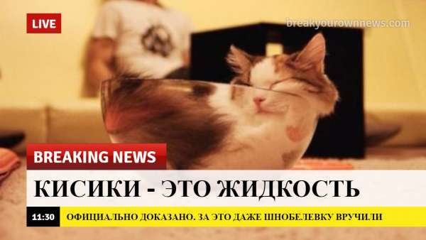 срочные новости с животными шаблон (5)