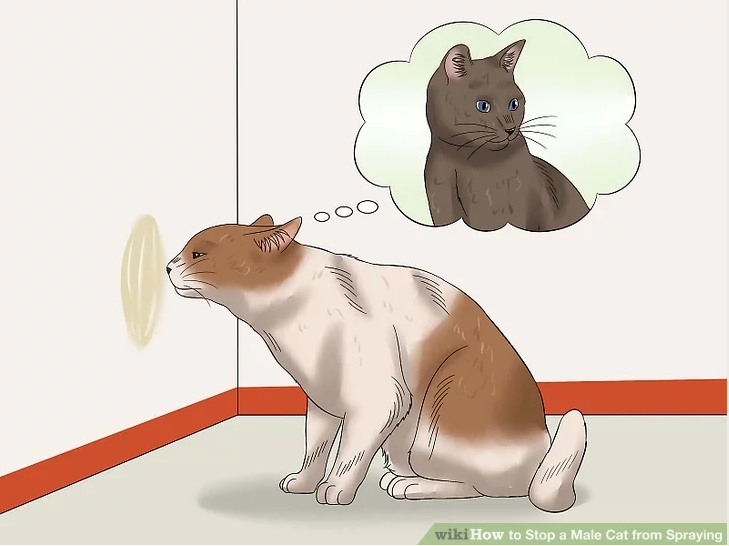 таблетки для кота (2)