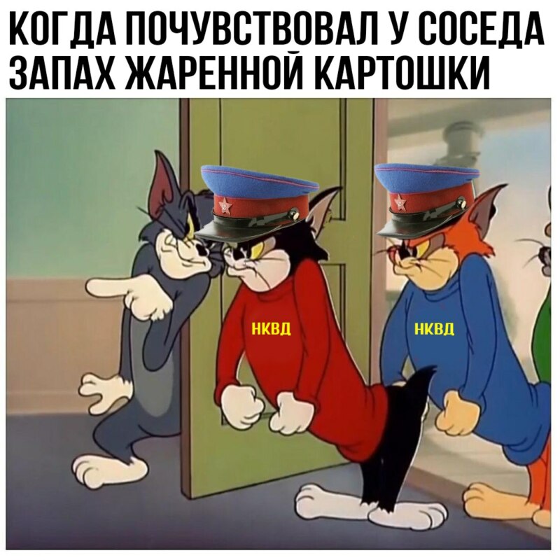 том и джерри мем