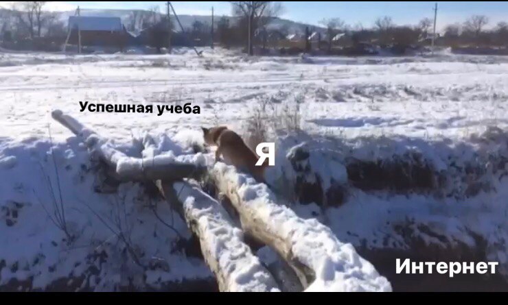 фиаско мем