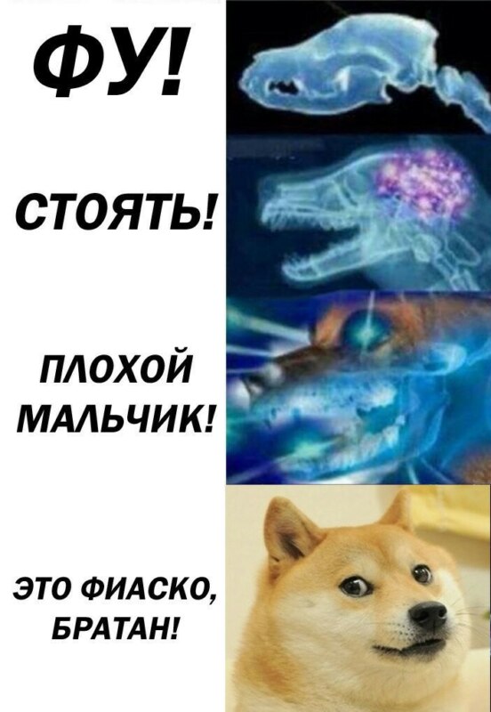фиаско