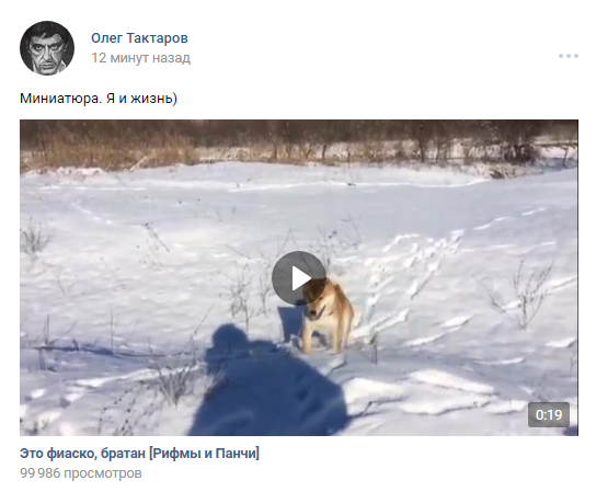 Это фиаско братан, Это фиаско братан мем, мем Это фиаско братан, Это фиаско братан видео, видео Это фиаско братан, собака падает в воду, собака падает в воду видео, сиба-ину видео, видео сиба-ину, шиба-ину видео, видео шиба-ину