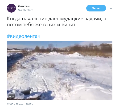 Это фиаско братан, Это фиаско братан мем, мем Это фиаско братан, Это фиаско братан видео, видео Это фиаско братан, собака падает в воду, собака падает в воду видео, сиба-ину видео, видео сиба-ину, шиба-ину видео, видео шиба-ину