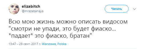 Это фиаско братан, Это фиаско братан мем, мем Это фиаско братан, Это фиаско братан видео, видео Это фиаско братан, собака падает в воду, собака падает в воду видео, сиба-ину видео, видео сиба-ину, шиба-ину видео, видео шиба-ину