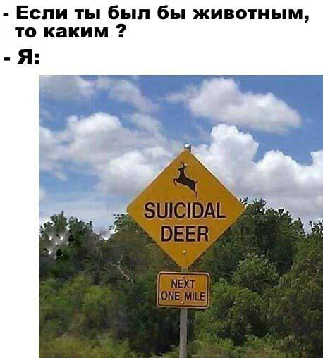 1504674658162524646