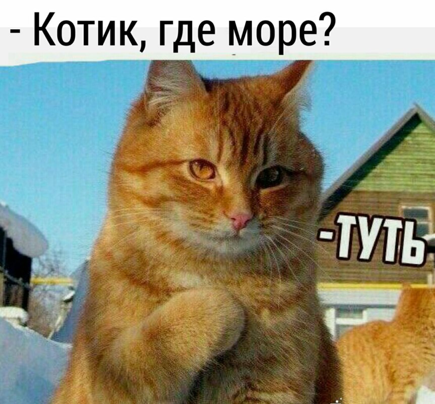 DK9M_5dXkAAjzmJ