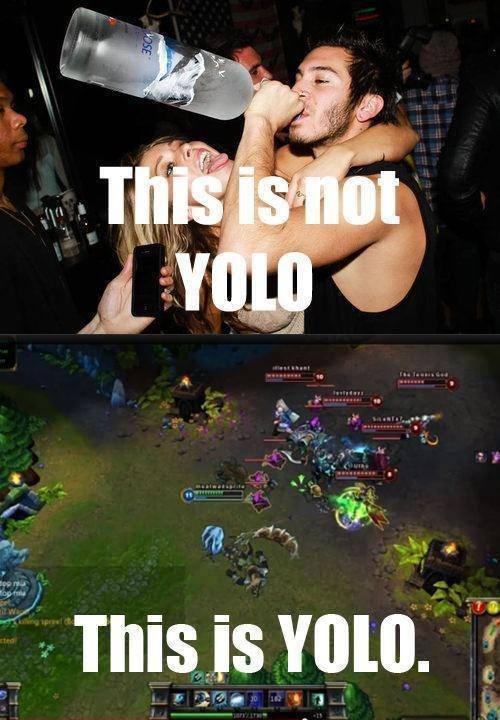 yolo (4)