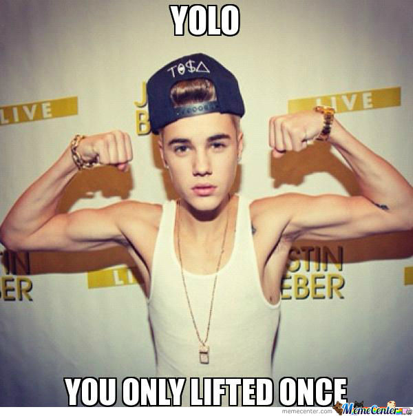 yolo (6)