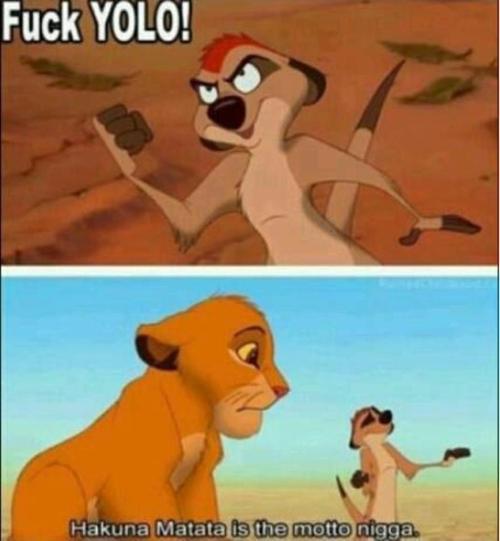 yolo (7)