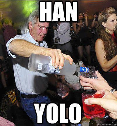 yolo (8)