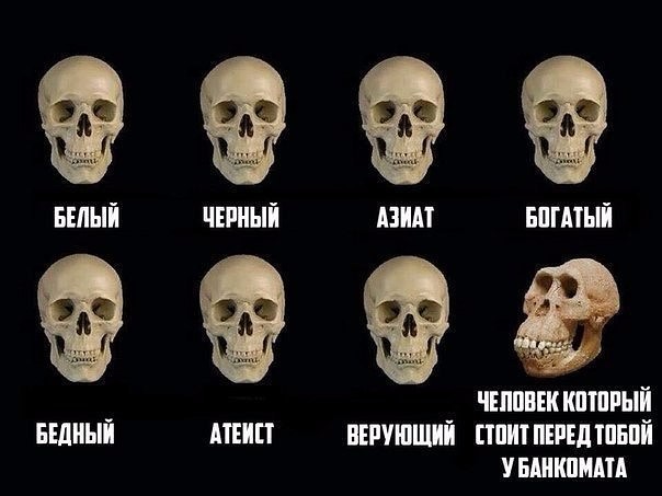 мем с черепами (2)