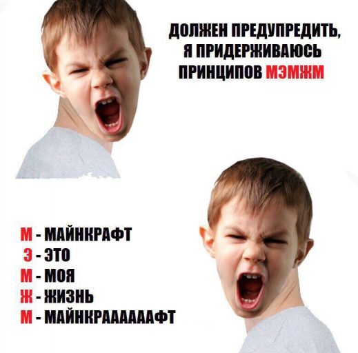 мем я живу по принципу (7)