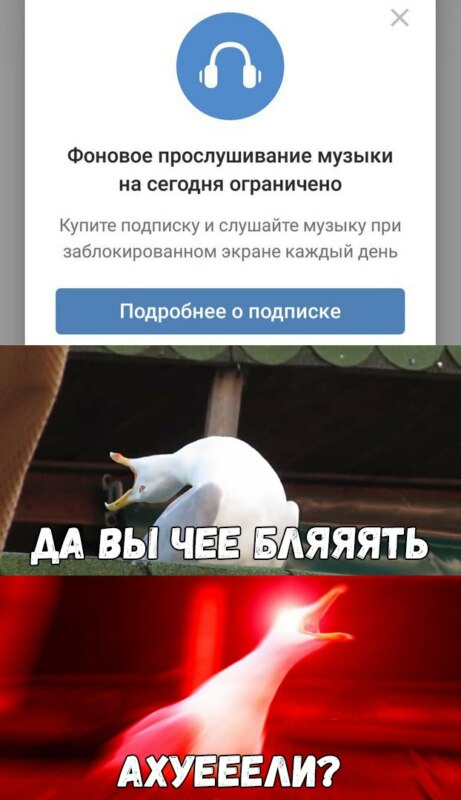 мемы про вконтакте (11)