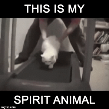 Мое тотемное животное, Spirit animal, тотемное животное, мем тотемное животное, тотемное животное мем