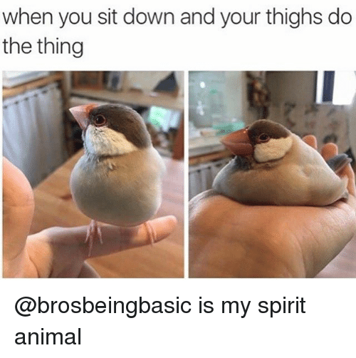 Мое тотемное животное, Spirit animal, тотемное животное, мем тотемное животное, тотемное животное мем
