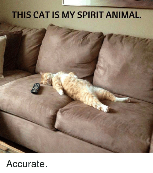 Мое тотемное животное, Spirit animal, тотемное животное, мем тотемное животное, тотемное животное мем