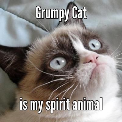 Мое тотемное животное, Spirit animal, тотемное животное, мем тотемное животное, тотемное животное мем