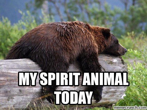 Мое тотемное животное, Spirit animal, тотемное животное, мем тотемное животное, тотемное животное мем