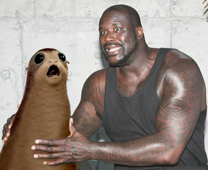 испуганный порг, порг испуг, перепуганный порг, порг в шоке, порг мем, звездные войны мем, мем звездные войны, порг последние джедаи, последние джедаи порг, порг люк скайуокер, порг чубакка, зверек кричит мем, порг происхождение, что за зверек в звездных войнах, белорыжий зверек звездные войны, звездные войны порг, порг история, порг что за животное, порг птичка, порг прототип, порг звездные войны, кто придумал поргов, зведные войны порг, звездные войны трейлер, трейлер звездные войны существо