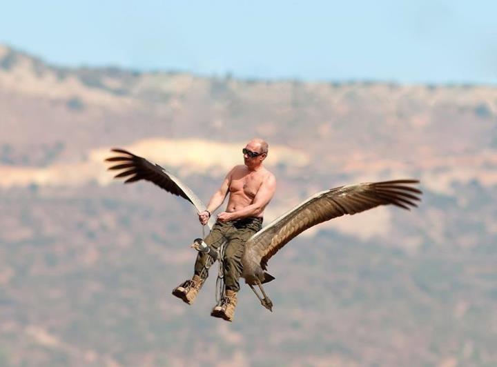 Путин мемы путин вожак стерхов