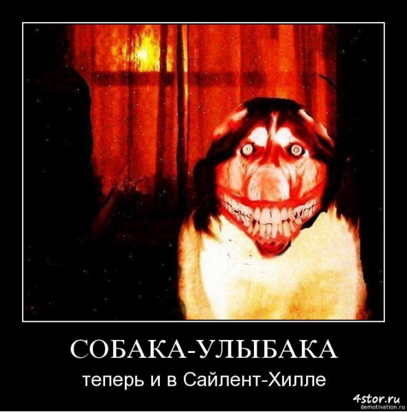 собака улыбака (2)