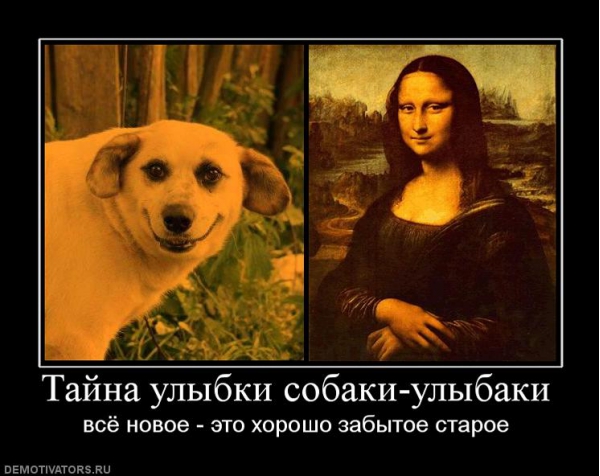 собака улыбака (3)