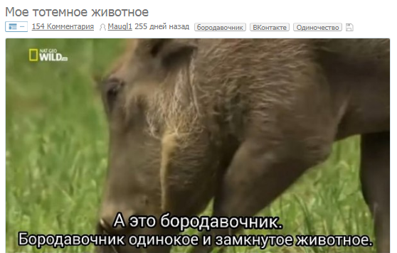 Мое тотемное животное, Spirit animal, тотемное животное, мем тотемное животное, тотемное животное мем
