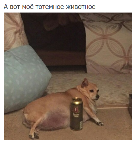 Мое тотемное животное, Spirit animal, тотемное животное, мем тотемное животное, тотемное животное мем