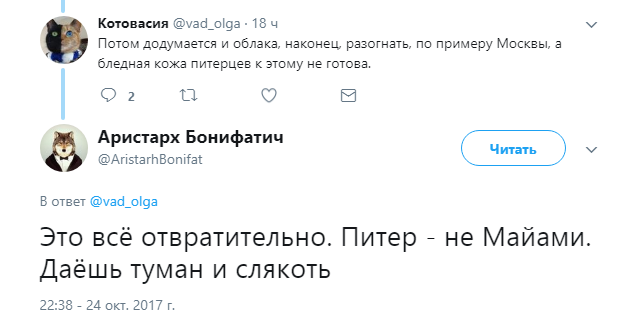 шаверма8