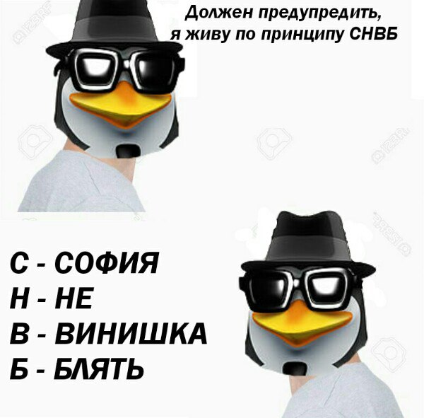 я живу по принципу пингвин