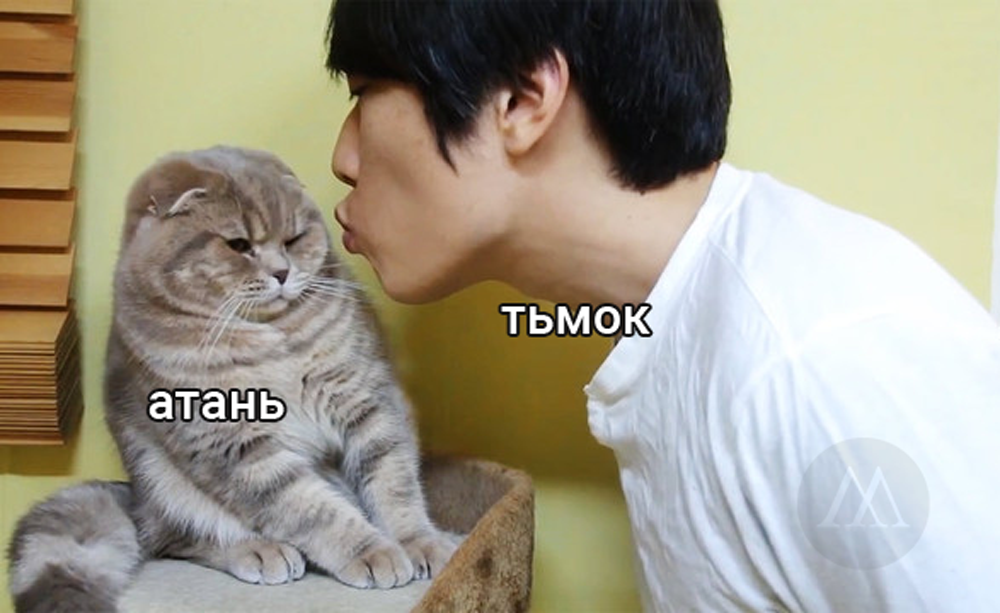 1тьмок