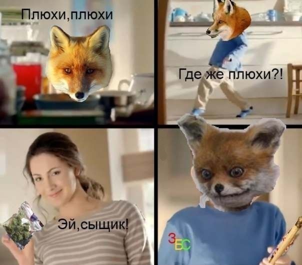 JdMSfARE0UA