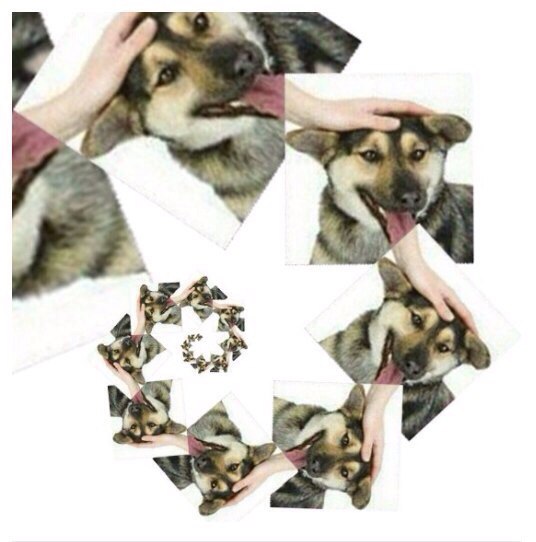 UJD1rh2mV_8