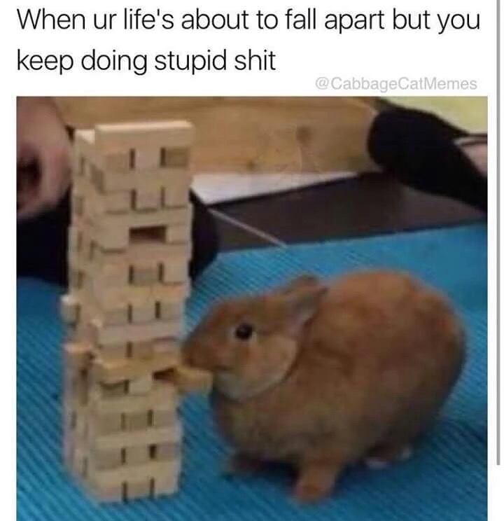rabbit Jenga