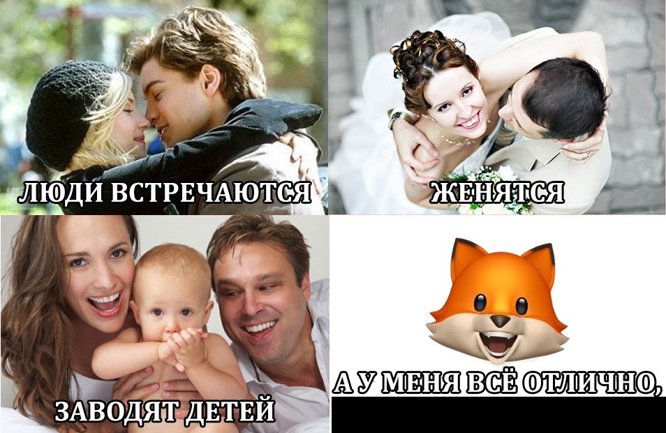 Все отлично лис