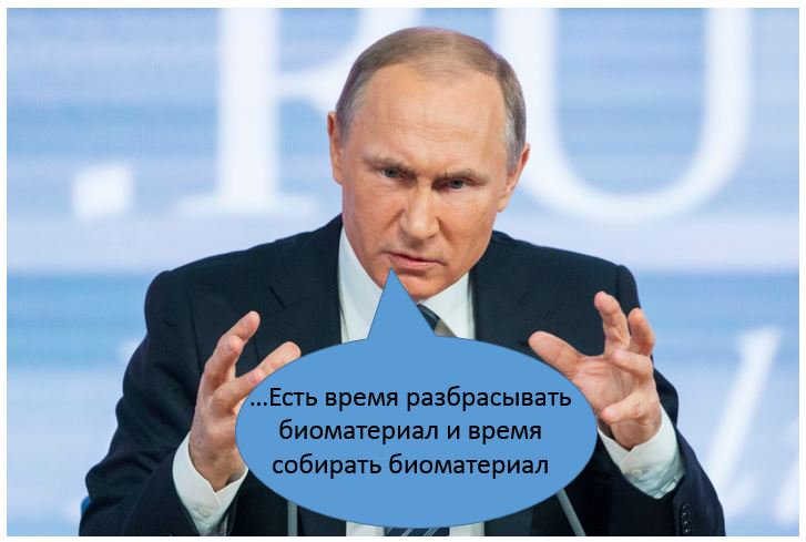 биоматериалы (4)