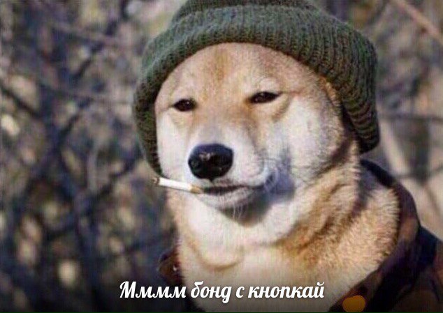бонд с кнопкой (9)