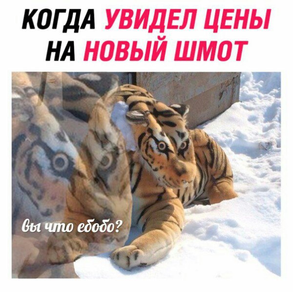 иисус с телефоном мем иисус с телефоном мем