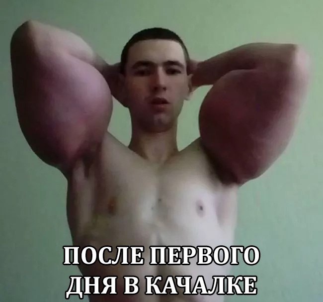 кирилл-терешин-синтол-10