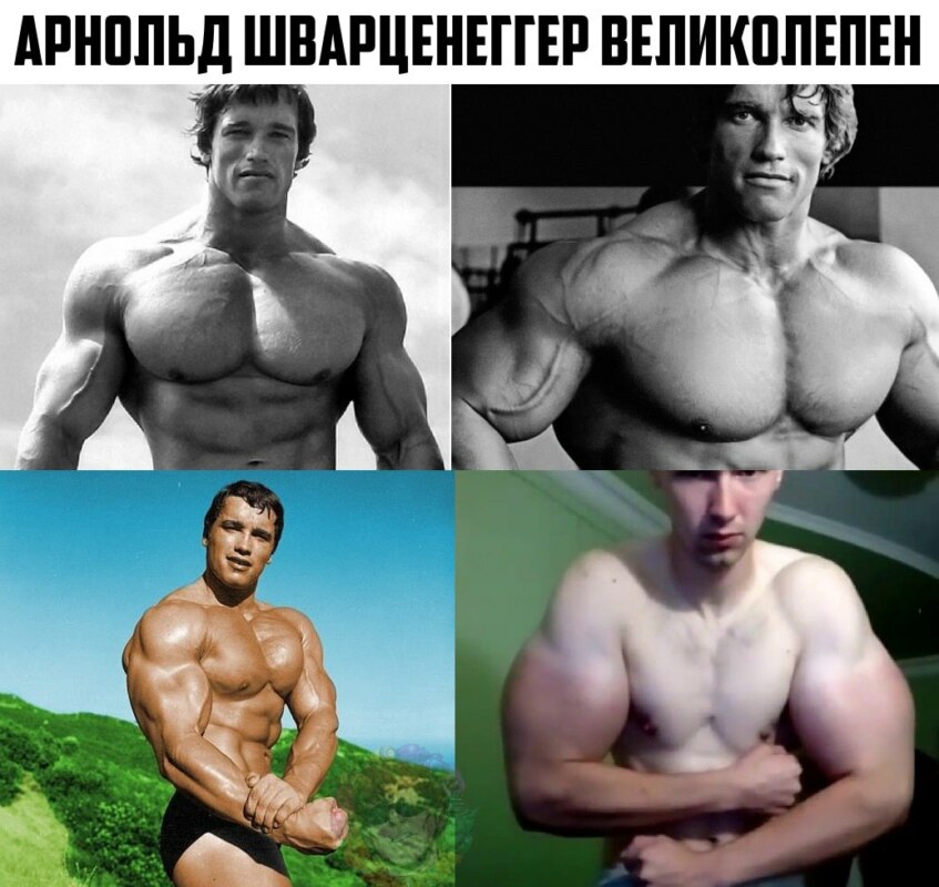 кирилл терешин синтол (3)