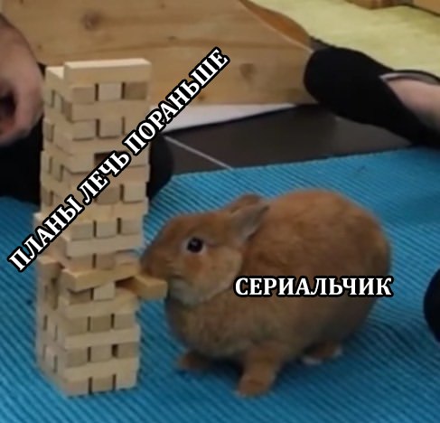кролик дженга (1)