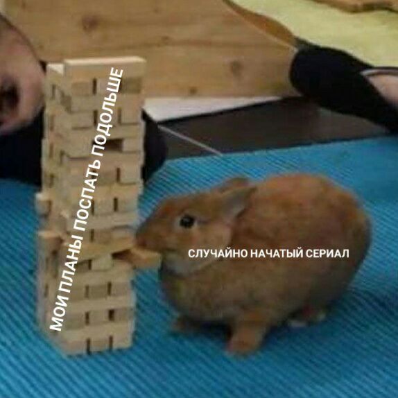 кролик дженга (2)