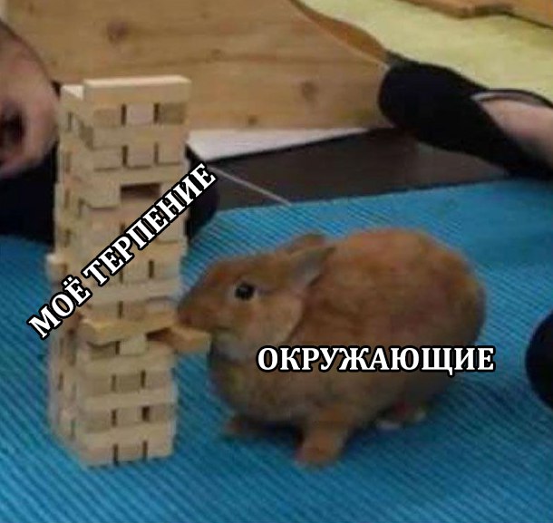 кролик дженга (3)
