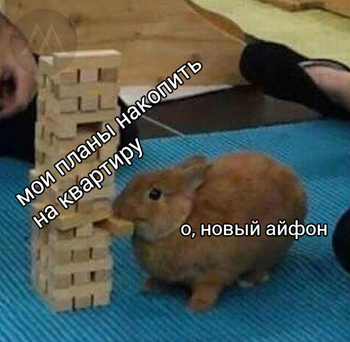 кролик