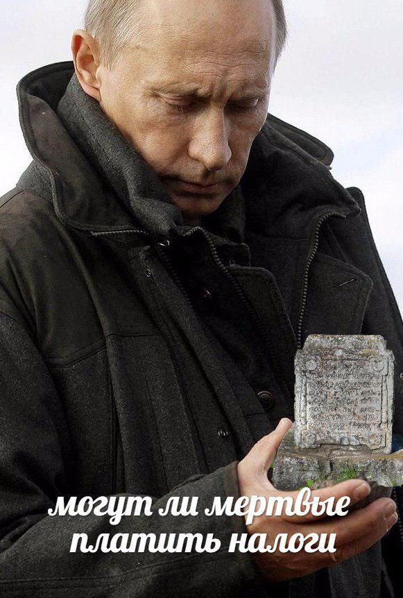 могут ли расеяне платить налоги