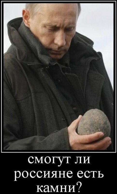 путин камень мем (6)